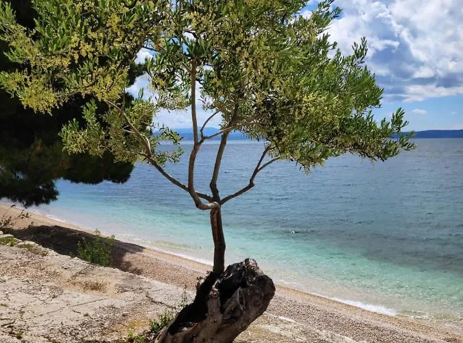 Coast 27 Podgora (Split-Dalmatia)