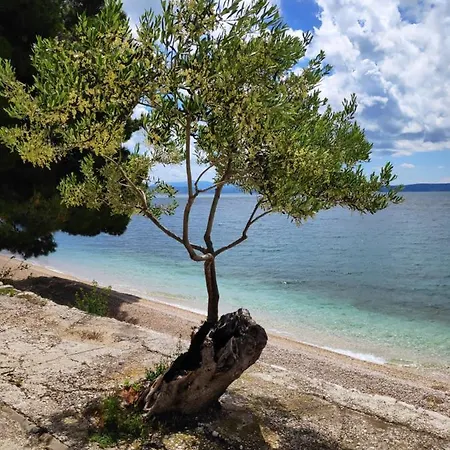 Coast 27 Podgora (Split-Dalmatia)